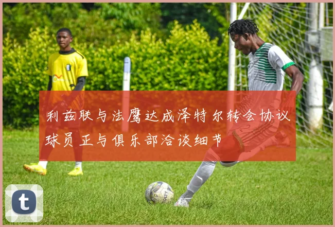 利兹联与法鹰达成泽特尔转会协议球员正与俱乐部洽谈细节